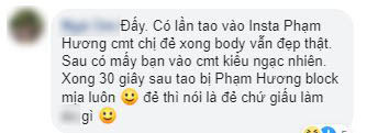 Phạm Hương đã chối đây đẩy nhiều lần chuyện mang thai, netizen nhận xét: Đây là biểu hiện của sự lươn lẹo-6