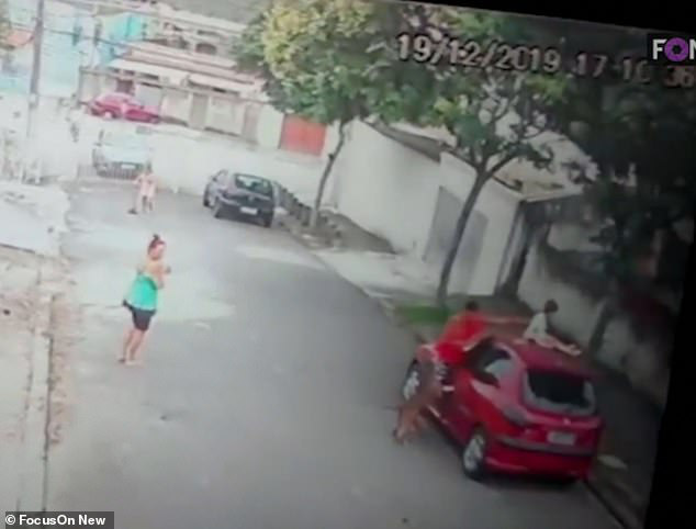 Giây phút đứng tim khi người đàn ông tay không cứu bé trai khỏi chó dữ và hành động gây phẫn nộ của bảo mẫu chứng kiến sự việc-2