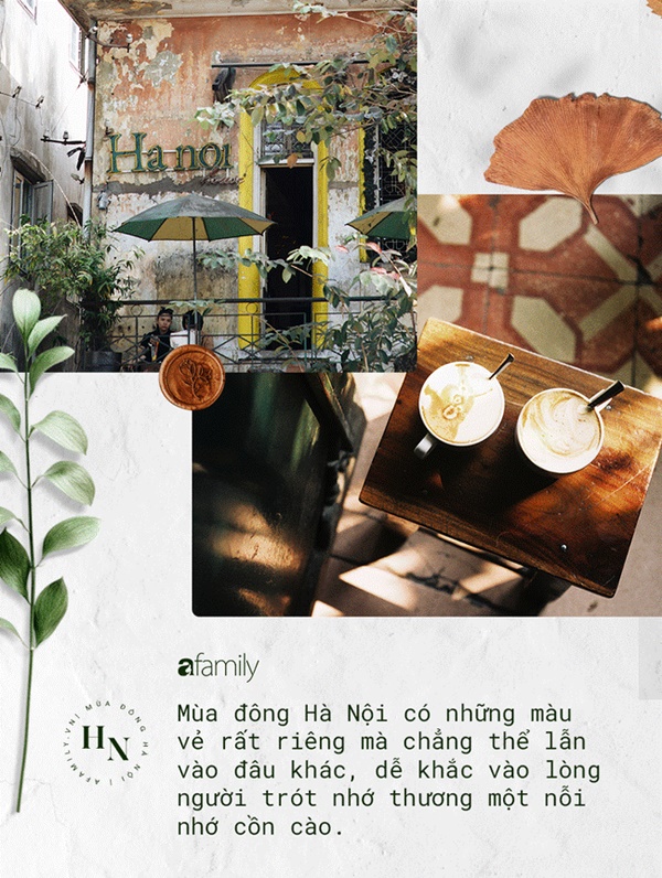 Mùa đông Hà Nội có hương vị gì khiến người ta phải lòng đến thế, năm nào cũng đến mà vẫn khắc khoải ngóng trông-3