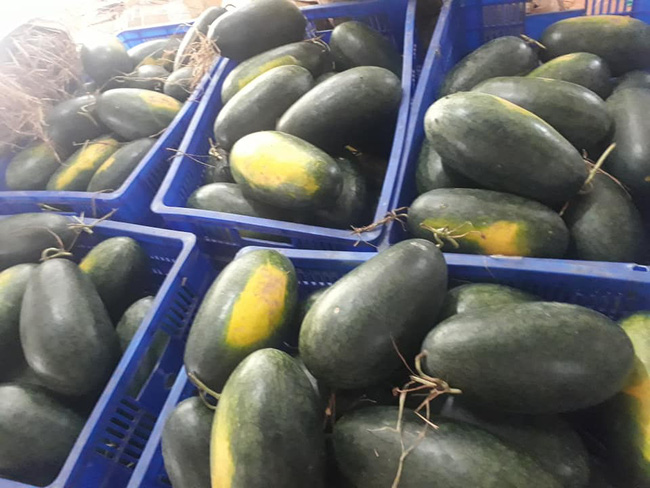 Tiểu thương nhét túi vài chục triệu nhờ buôn chuối xanh 4k/kg tháng giáp Tết-10