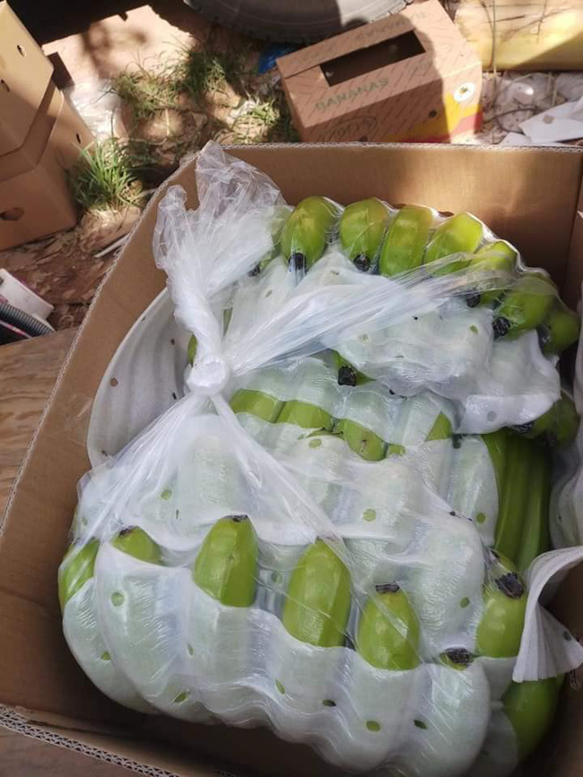 Tiểu thương nhét túi vài chục triệu nhờ buôn chuối xanh 4k/kg tháng giáp Tết-3