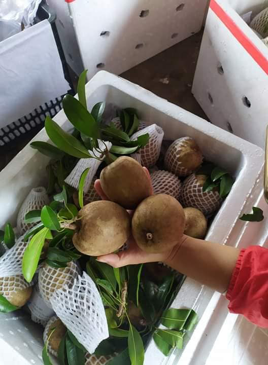 Tiểu thương nhét túi vài chục triệu nhờ buôn chuối xanh 4k/kg tháng giáp Tết-9