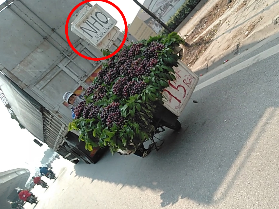 Nho Ninh Thuận bán đầy đường Hà Nội, sự thật thế nào?-1