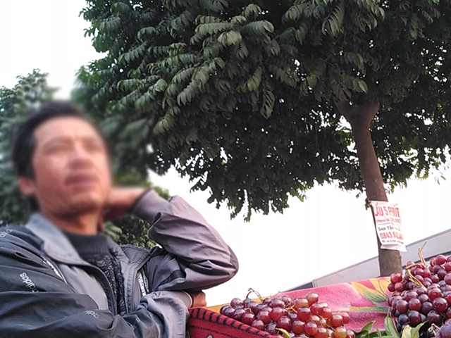 Nho Ninh Thuận bán đầy đường Hà Nội, sự thật thế nào?-3