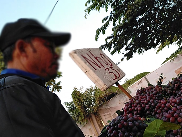 Nho Ninh Thuận bán đầy đường Hà Nội, sự thật thế nào?-4