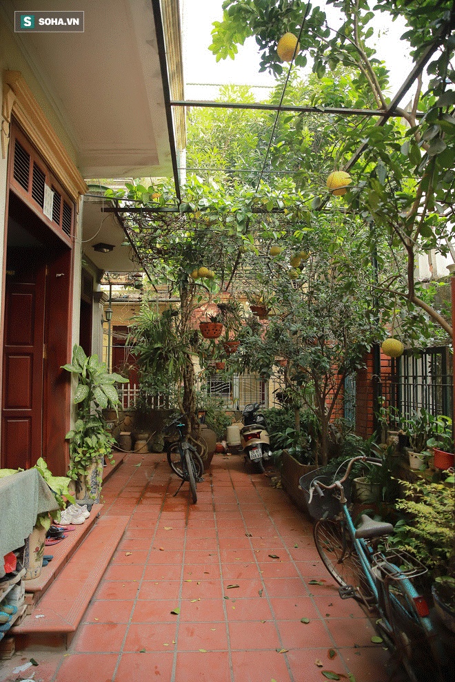 Ngôi nhà bình yên, rợp bóng cây của nghệ sĩ xuất hiện trên ảnh thờ nhiều nhất Việt Nam-7