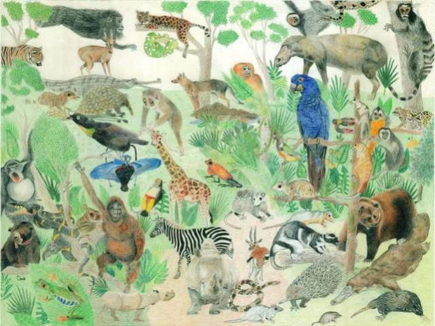 Nhìn lại hành trình thành tài gian nan của cậu bé khác người thường mới thấy niềm tin và tình yêu của cha mẹ có thể thay đổi tất cả-4