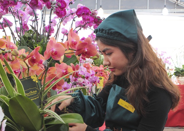 Lan hồ điệp giá hàng chục triệu xuống phố đón Tết sớm-10