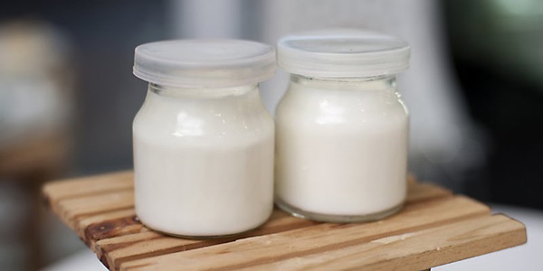 Tác dụng của việc ăn sữa chua đối với vi khuẩn trong phụ khoa?
