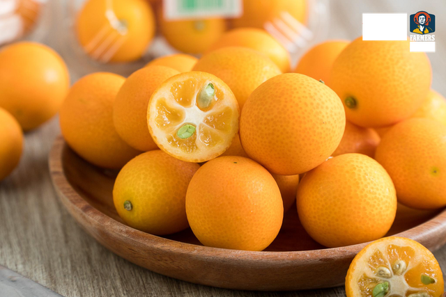 Quất Nhật Kinkan tiền triệu một cân, dân sành ăn vẫn mua về làm mứt Tết-4