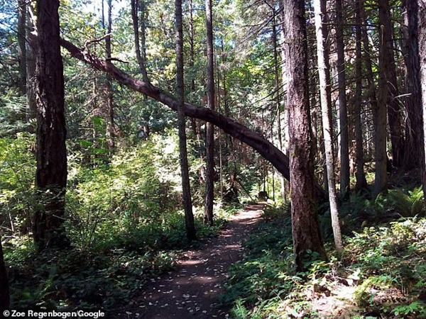 Hé lộ hình ảnh và thông tin về nơi ở bí mật của vợ chồng Meghan Markle cùng con trai trong kỳ nghỉ lễ, tránh xa gia đình hoàng gia-2