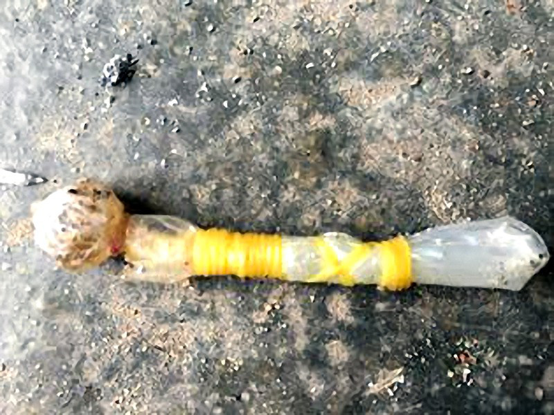 Công an cảnh báo bả chó kiểu mới dễ khiến trẻ lầm là kẹo-1