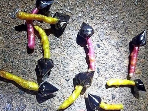 Công an cảnh báo bả chó kiểu mới dễ khiến trẻ lầm là kẹo