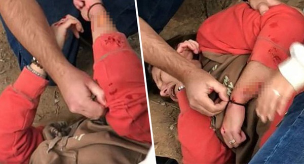 Bị báo vả suýt chết vì trèo rào vườn thú để chụp ảnh tự sướng-1