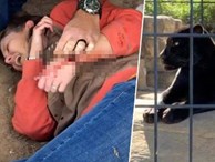 Bị báo vả suýt chết vì trèo rào vườn thú để chụp ảnh tự sướng