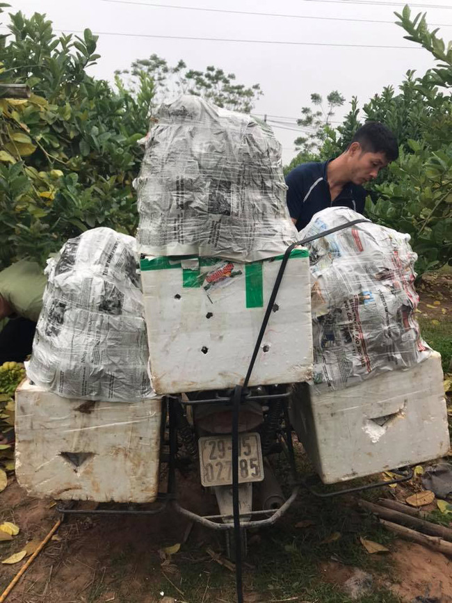 Nếu như đang có ý định bán phật thủ ngày Tết thì chị em đừng quên 5 lưu ý này để 1 vốn 4 lời-9