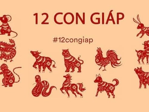 Trong số 12 con giáp, có 4 con giáp phát tài ở tuổi trung niên, trung vận trở ra sung túc phú quý