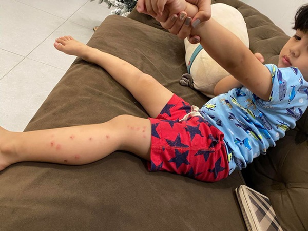 Dân tình khuyên tái hợp với Thanh Bình dù vừa xảy ra lùm xùm, Ngọc Lan liền có phản ứng cực thẳng thắn!-4
