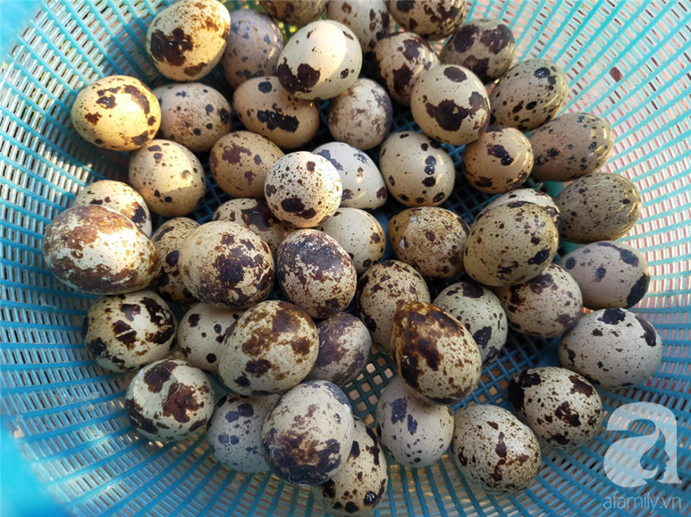 Tôi học được cách làm trứng cút lộn xào me của đầu bếp nhà hàng, ai ăn thử cũng thích-1