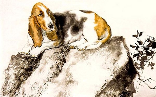 6 con giáp có tài vận tốt nhất tháng 1/2020: Tài tinh tương trợ, lộc tiền bạc rộng mở-3