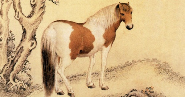 Tổng quan tử vi Ngọ, Mùi, Thân năm Canh Tý: Mùi nhiều tiền, Ngọ lắm cơ hội trong công việc-1