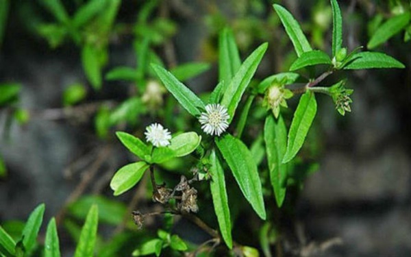 10 cách hạ sốt không dùng thuốc cho trẻ hiệu quả-6