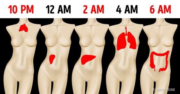 Đêm nào cũng tỉnh giấc vào đúng khung giờ” này thì coi chừng gan, phổi, ruột của bạn đã mắc trọng bệnh, càng để lâu càng khó chữa-1