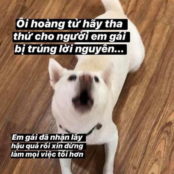 Hội chị em phát điên vì đi đâu cũng thấy Ôi hoàng tử, vậy từ đâu lại có trào lưu này?-10