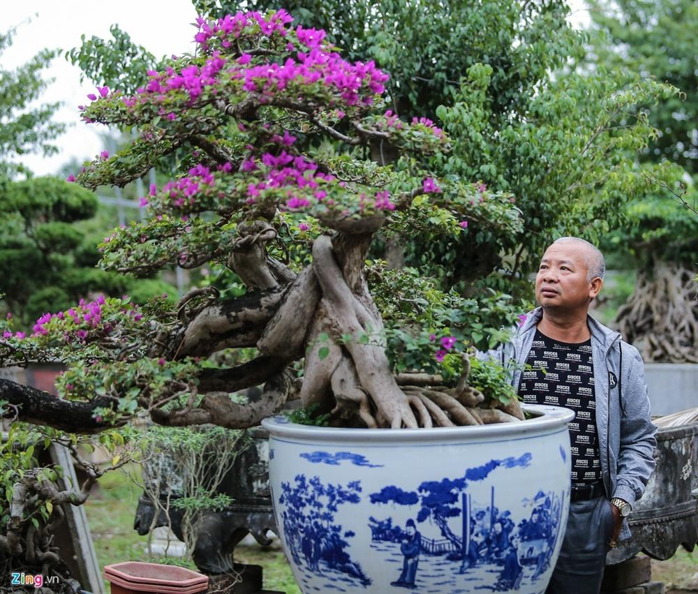 Hoa giấy ngũ sắc giá trăm triệu đắt hàng dịp cận tết-6