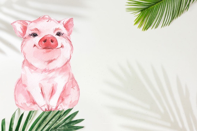 Tổng quan tử vi Dậu, Tuất, Hợi trong năm Canh Tý 2020: Dậu có quý nhân, Tuất nhiều tài lộc-3