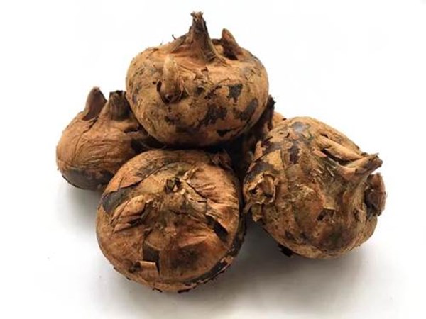 Mứt mã thầy vừa lạ vừa rẻ, đem ra đãi Tết khách ai cũng mê-1