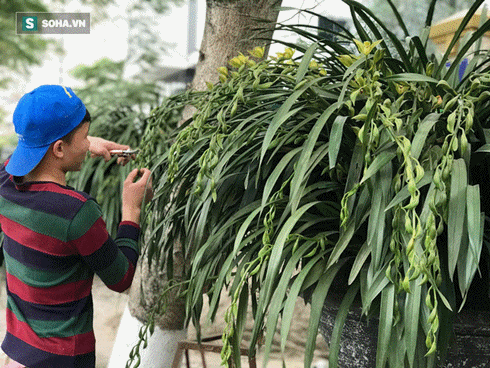 Mày biết tao là ai không?, đại gia gây ồn ào nhất 2019-11