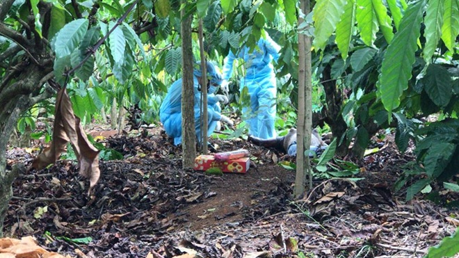 Manh mối vụ phi tang xác nữ 9X trong rẫy cà phê-2