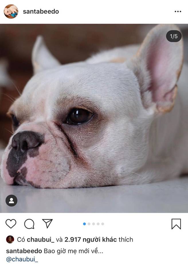 Tin sốc chốt sổ 2019: Châu Bùi - Decao chia tay!-10