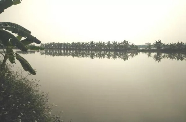 Tình tiết lạ vụ chủ đầm rươi tử vong bất thường ở Hải Phòng-2