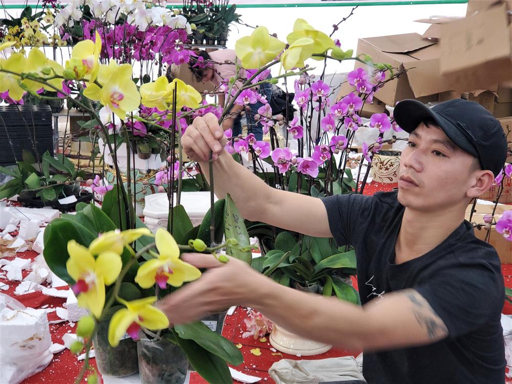 Vạn cành lan hồ điệp đồng giá 250.000 đồng, 90 triệu/bình nghìn bông chơi Tết-12