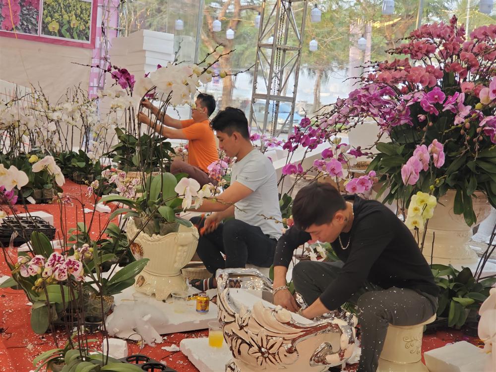 Vạn cành lan hồ điệp đồng giá 250.000 đồng, 90 triệu/bình nghìn bông chơi Tết-14