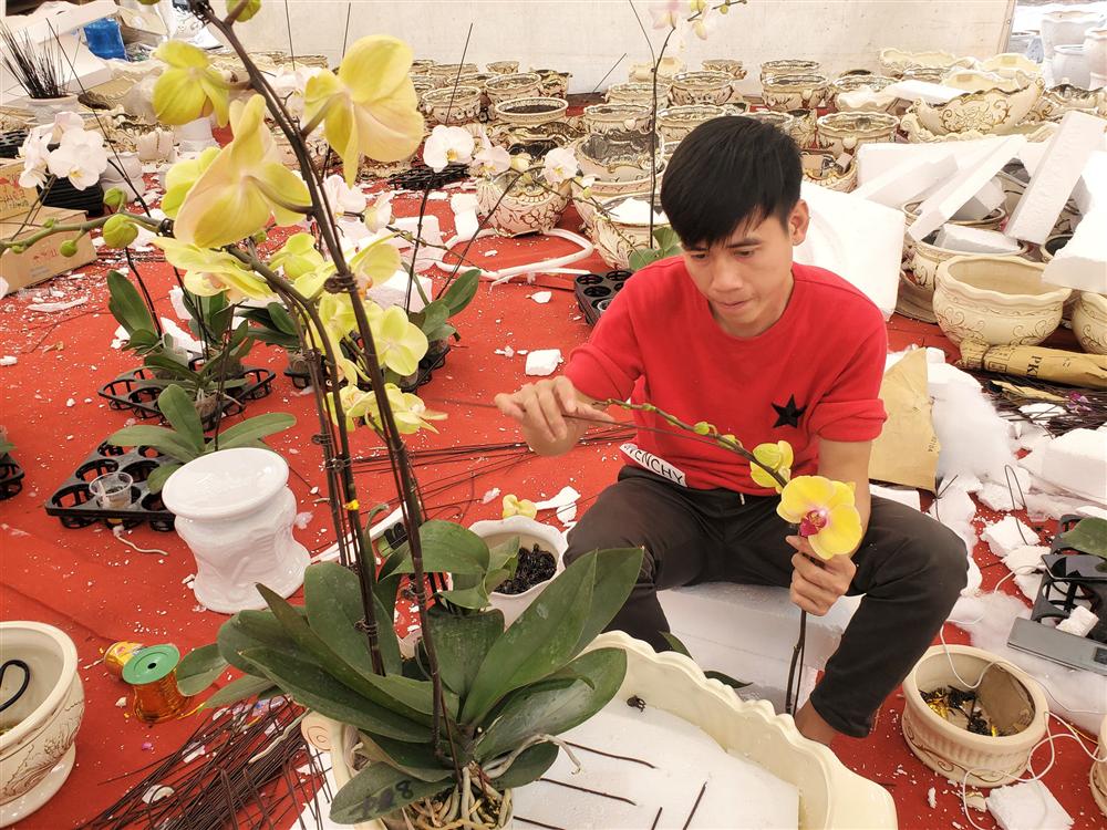 Vạn cành lan hồ điệp đồng giá 250.000 đồng, 90 triệu/bình nghìn bông chơi Tết-8