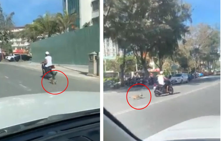 Xuất hiện clip người đàn ông kéo lê chú chó hàng trăm mét, con vật nhỏ bê bết máu trên đường khiến nhiều người phẫn nộ-2