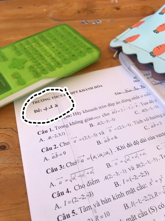 Trình đặt mã đề của thầy cô lên tầm vô cực, nữ sinh nhìn xong đứng hình mất 5s” lên hỏi: Đây là ngôn ngữ gì?-1