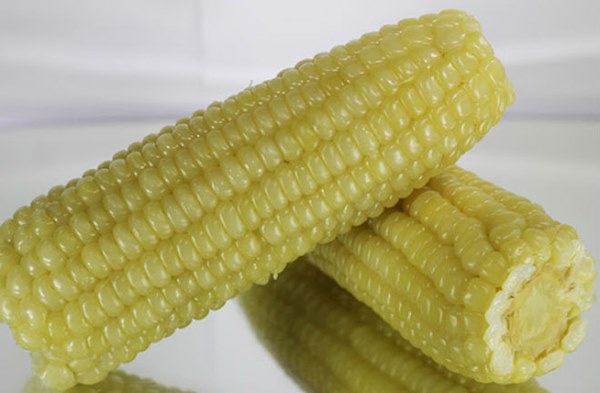 Nếu ăn 1 bắp ngô vào thời điểm này mỗi ngày, phụ nữ cả đời không sợ ung thư vú lại miễn dịch” với hàng loạt bệnh nguy hiểm-1