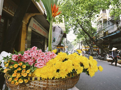 Thời tiết dịp Tết Nguyên đán Canh Tý 2020: Miền Bắc rét đậm, rét hại-2