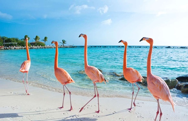 7 quốc đảo giàu có, hút du khách nhất thế giới-7