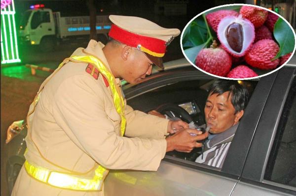 Đại biểu Quốc hội lên tiếng về việc ăn vài quả vải và uống siro cũng có thể bị phạt lỗi nồng độ cồn-1