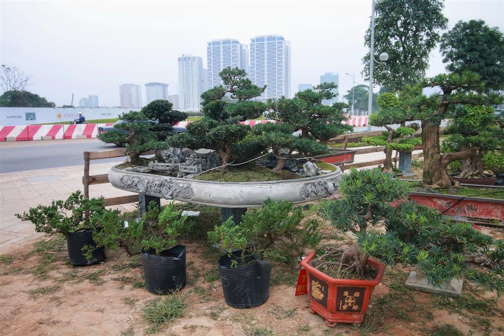 Chiêm ngưỡng Đồi Tùng La Hán” thiết kế bắt mắt độc nhất vô nhị-10