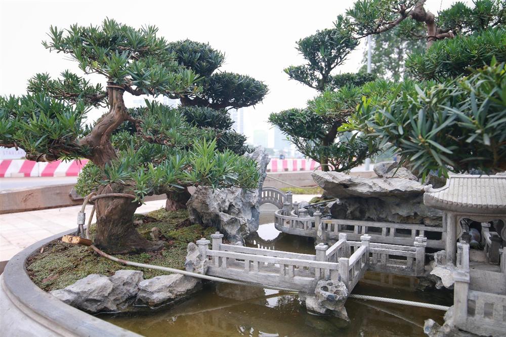 Chiêm ngưỡng Đồi Tùng La Hán” thiết kế bắt mắt độc nhất vô nhị-7