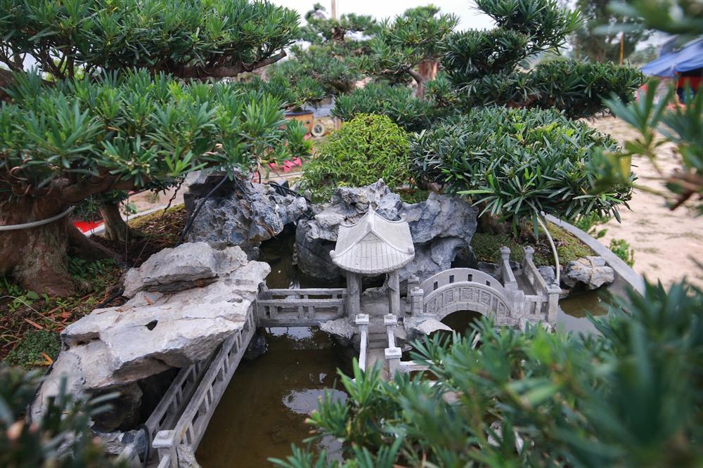 Chiêm ngưỡng Đồi Tùng La Hán” thiết kế bắt mắt độc nhất vô nhị-9