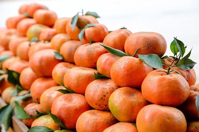 Mua cam Canh chỉ cần thuộc những đặc điểm này, đảm bảo cam mua chuẩn ngon, ngọt sắc-1