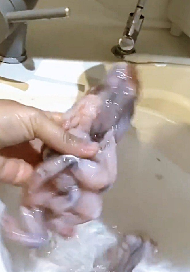 Đối xử tốt với người giúp việc, Ngọc Trinh được bồi dưỡng toàn món ngon, bổ-4