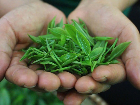 Thưởng Tết Âm lịch 2020 tăng, mức thưởng cao nhất cho một cá nhân là 950 triệu đồng-2